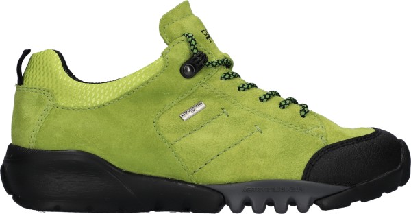 WALDLÄUFER H-AMIATA