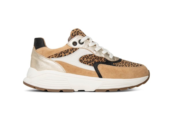 XSENSIBLE PONTE VECCHIO