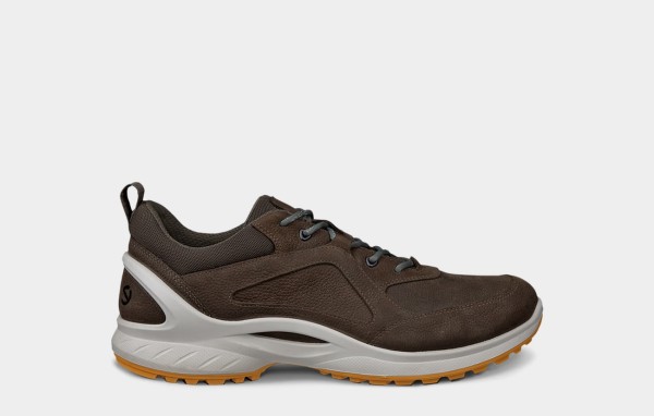 ECCO BIOM ENERGI