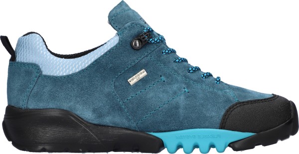 WALDLÄUFER H-AMIATA