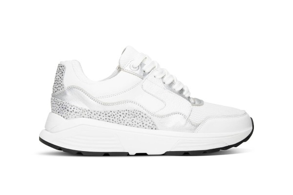 XSENSIBLE GOLDEN GATE