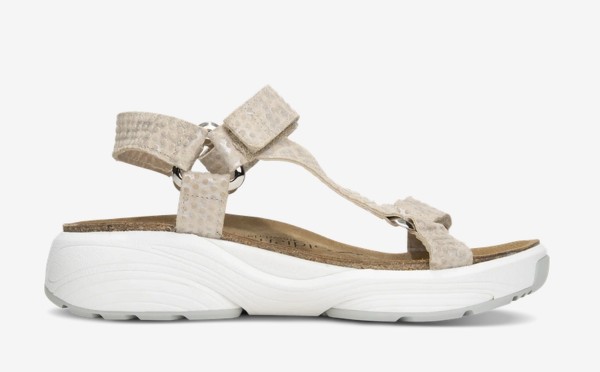 XSENSIBLE PASSIFLORA